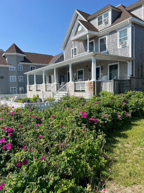 Inkwell Beach Cottage image 22